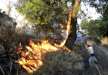 ϣ��ɭ�ִ�������63������