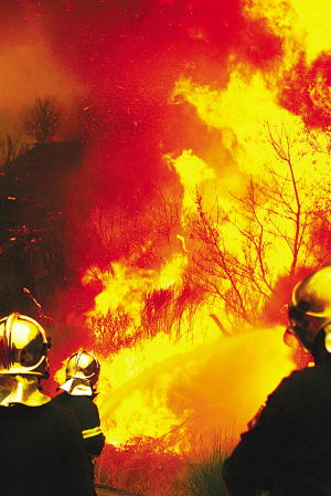 ϣ�����÷��ֲ���׷���ݻ��ɷ�(��ͼ)