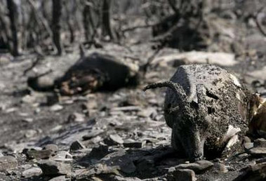 ϣ�����ֹ����64�����������ѵõ�����(ͼ)