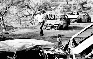 ϣ���������õ����ƾ�����ʧԼ12��ŷԪ