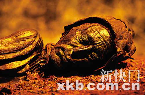 也许几年后,普通人也能像古埃及法老那样被制作成木乃伊,在金字塔里