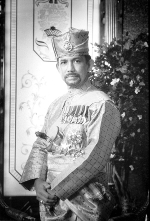 文莱富豪排行榜_文莱苏丹登顶“王室富豪榜”