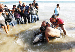 马来西亚自然资源和环境部禁设鱼翅宴(图)