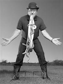 2008年版 吉尼斯世界纪录大全面世