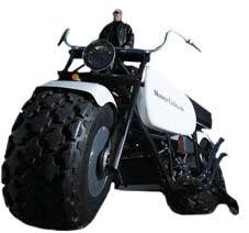 最细的腰最牛的胃入选