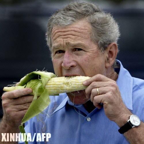 图说世界--网友贴图:布什总统滑稽图片集锦