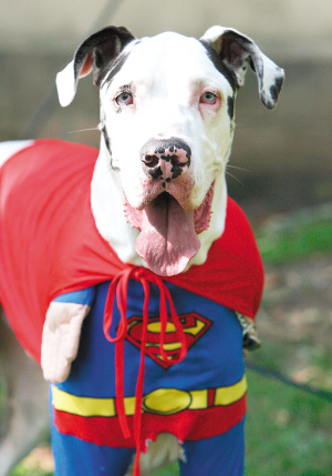 太空万圣节海盗服装秀(图)