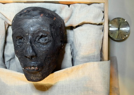 图坦卡蒙木乃伊移驾玻璃棺 三千年真容首次公开示人_新闻中心_新浪网