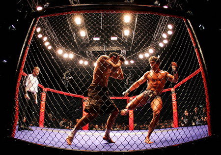 图文:全球笼式搏击大奖赛比赛现场