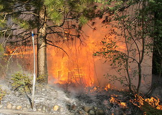 加州森林大火烧毁165幢民宅数千人撤离(图)