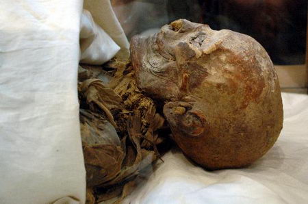 ����չ��������Ů����ľ����(��ͼ)