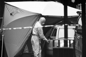 Ӣ����������ش�ֲ�Ϯ����ı(��ͼ)