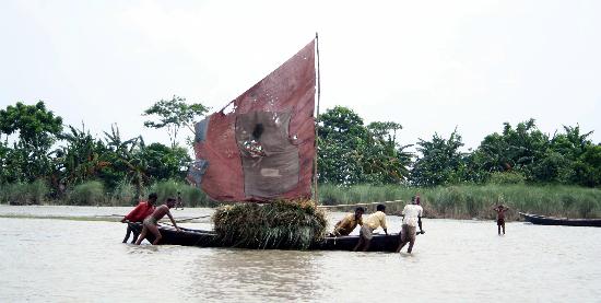 图文:孟加拉国洪灾灾区百姓生活艰难(1)
