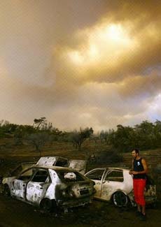 ɭ�ִ������ϣ��ŷ�޶����Ԯ(��ͼ)