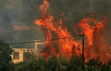 ɭ�ִ������ϣ��ŷ�޶����Ԯ(��ͼ)