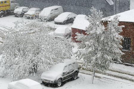 组图：莫斯科降下今年入冬前第一场雪