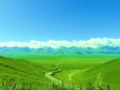实景天气