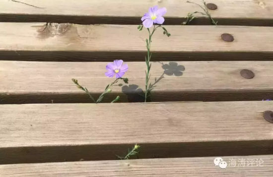 Ͻڱ磬λ