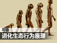 进化、生态和行为原理