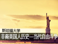 非裔美国人历史—当代自由斗争