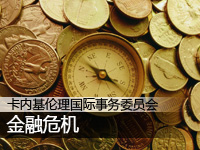 卡内基伦理与国际事务委员会:金融危机