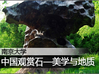 中国观赏石艺术