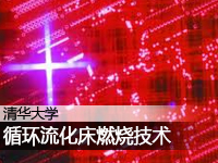 循环流化床燃烧技术