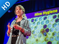 为什么蜜蜂逐渐在消失