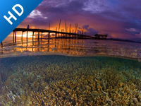 拯救海洋从岛屿开始