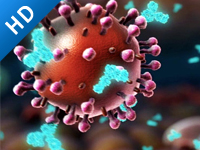 流感与HIV：疫苗的应对策略