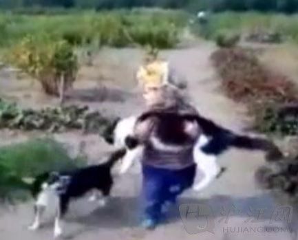 小主人真偏心 小主人真偏心