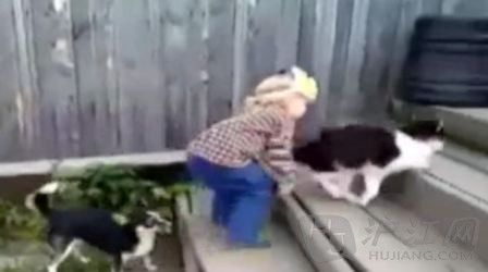 小女孩护猫不理狗 小女孩护猫不理狗