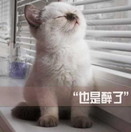 网络用语 网络用语