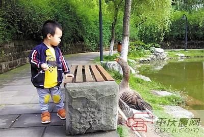 小朋友,好好学习,未来是你的。 小朋友,好好学习,未来是你的。
