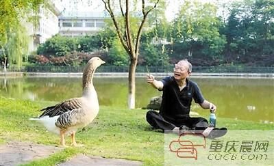 爷爷,我没空陪你玩,我要去图书馆了。 爷爷,我没空陪你玩,我要去图书馆了。