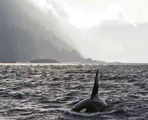 Haida Gwaii Haida Gwaii