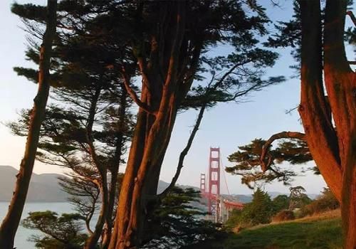 The Presidio, San Francisco The Presidio, San Francisco