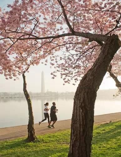 National Mall, Washington, D.C. National Mall, Washington, D.C.