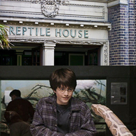 Reptile House爬虫类动物馆 Reptile House爬虫类动物馆