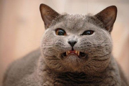 双语:生气的25种英文表达