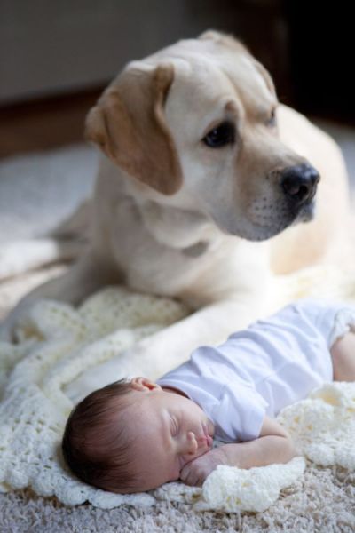 宝宝与小狗