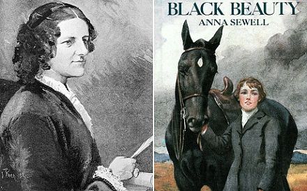 Black Beauty 《黑骏马》 Black Beauty 《黑骏马》