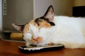 睡觉时给手机充电小心变胖