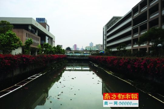 一条臭河涌从万江中学的食堂和教学楼之间穿过。南都记者 梁清 摄 一条臭河涌从万江中学的食堂和教学楼之间穿过。南都记者 梁清 摄