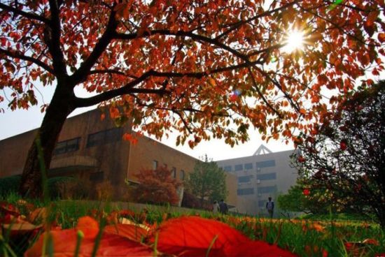 西安交通大学 西安交通大学