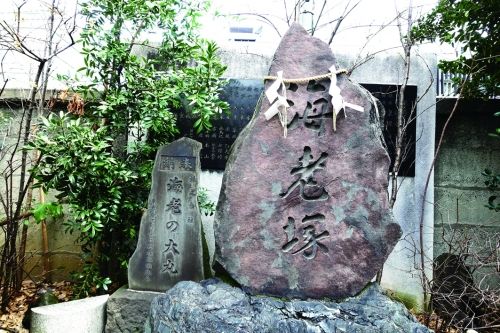 虾之墓