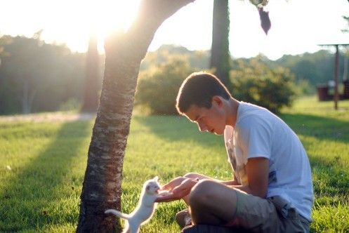双语揭秘:如何用英语鼓励你的小伙伴(图) 双语揭秘:如何用英语鼓励你的小伙伴(图)