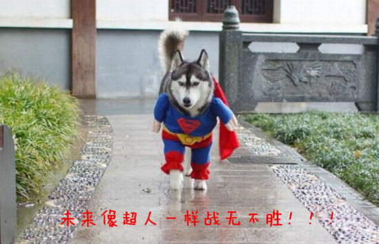 未来像超人一样战无不胜 未来像超人一样战无不胜