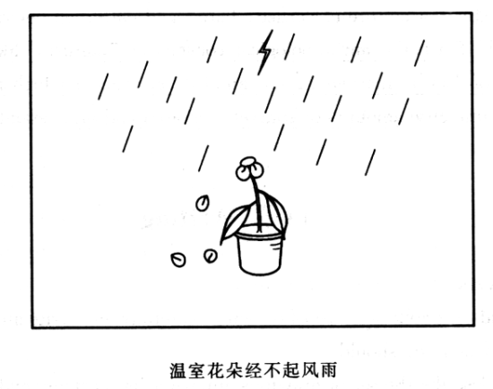 两代关系 两代关系