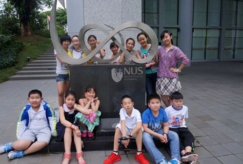 新加坡国立大学 新加坡国立大学